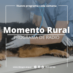 Momento Rural